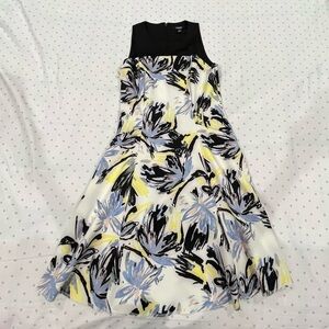 Chaps women dress size 8